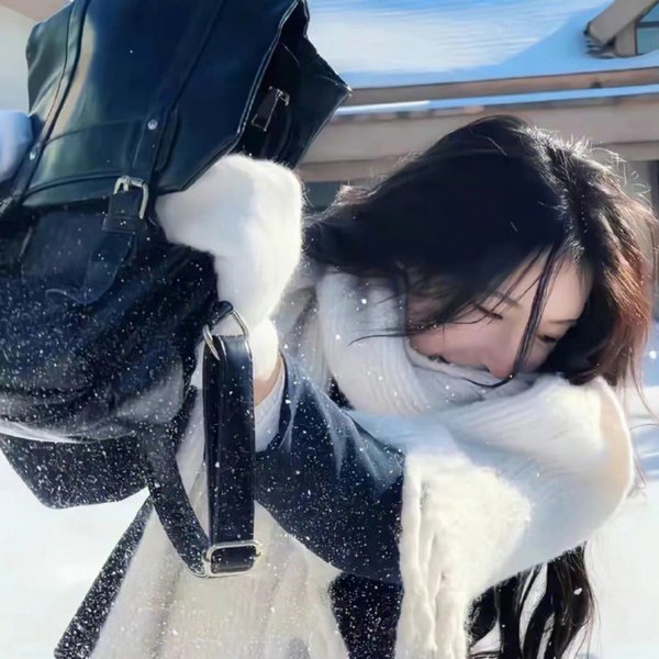 女贼金丝猫