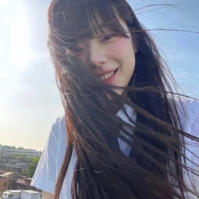 十楼的蚊