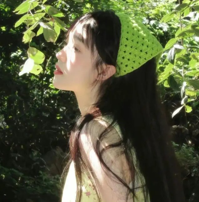 鉴你所见:花露森林